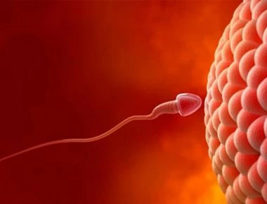 Τι μπορεί να αποκαλύψει για τη γονιμότητα η αντιμυλλέριος ορμόνη;